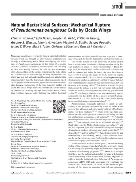 Natural bactericidal surfaces: mechanical rupture of Pseudomonas aeruginosa cells by cicada wings - Graphical Abstract