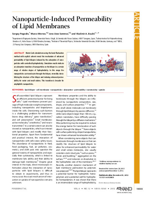 Nanoparticle-induced permeability of lipid membranes - Graphical Abstract
